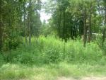 Bossier City fsbo - 2140 Airline Dr.