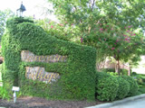 Braemar Village