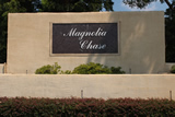 Magnolia Chase