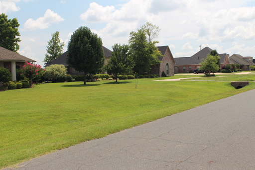 Plantation Estates