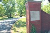 The Orchard
